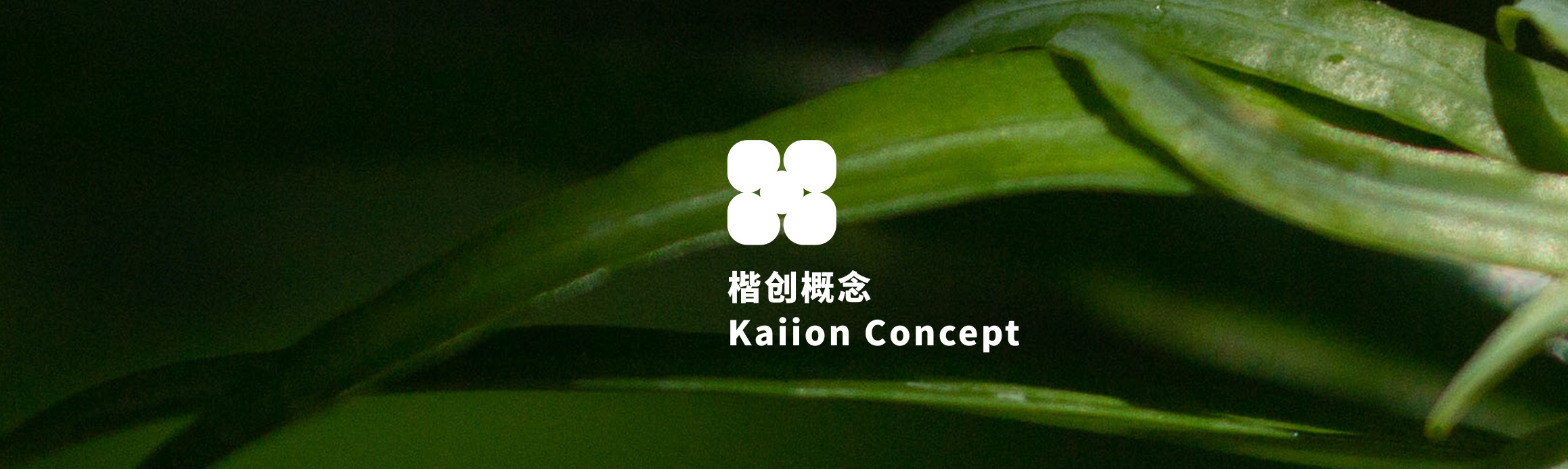 楷创概念｜Kaiion Concept
