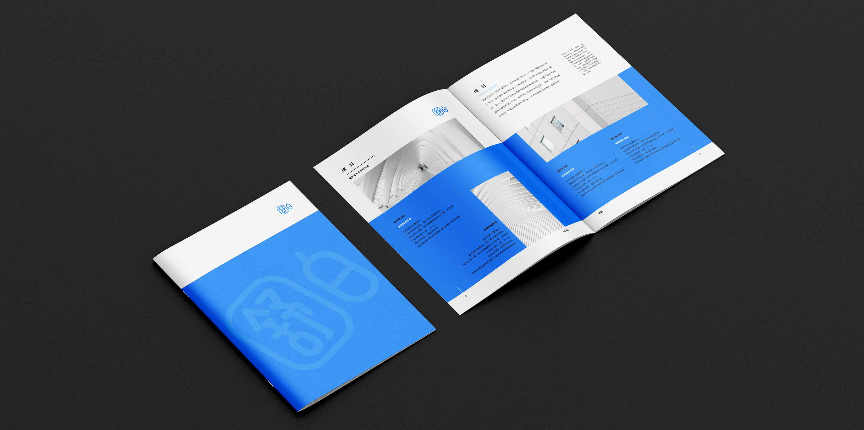 舒白宣传册效果图